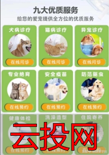 信息流广告图片设计