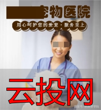 信息流广告图片设计