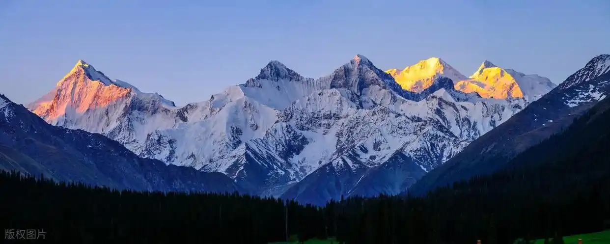 信息流广告投放策划