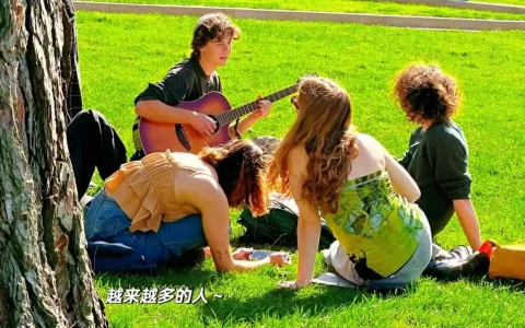 海外公司营销，海外营销公司成功案例深度剖析